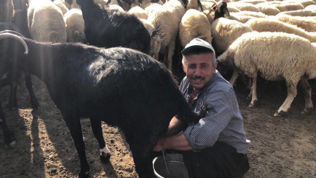 adanada-20-bin-liraya-coban-bulunmuyor-bu-daglarin-son-temsilcisiyiz-sJLxwGns.jpg